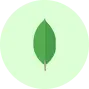 MongoDB technology