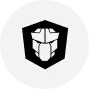 PrimeNG technology
